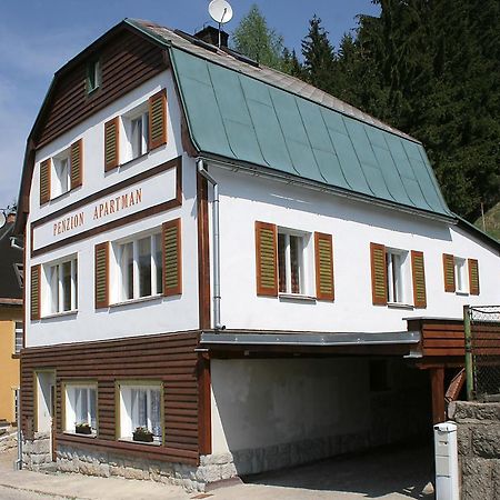 Penzion Apartmán Janov Janov nad Nisou Exterior foto